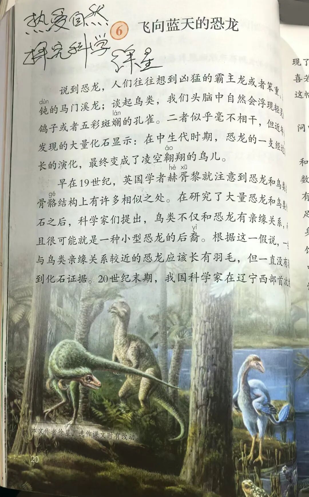 什么？恐龙并没有灭绝？！