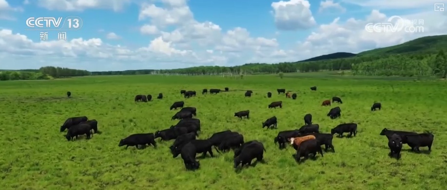 19.4亿亩、1.75亿吨、7358万吨……“数”说百姓吃得更好、更健康 19.4亿亩、1.75亿吨、7358万吨……“数”说百姓吃得更好、更健康