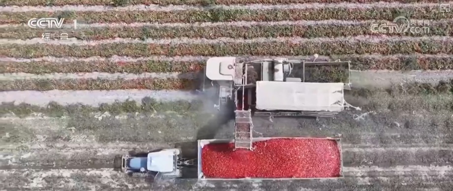 又是一年收获时!五谷丰登、瓜果飘香、鱼虾满舱……丰收画卷徐徐铺展 又是一年收获时!五谷丰登、瓜果飘香、鱼虾满舱……丰收画卷徐徐铺展