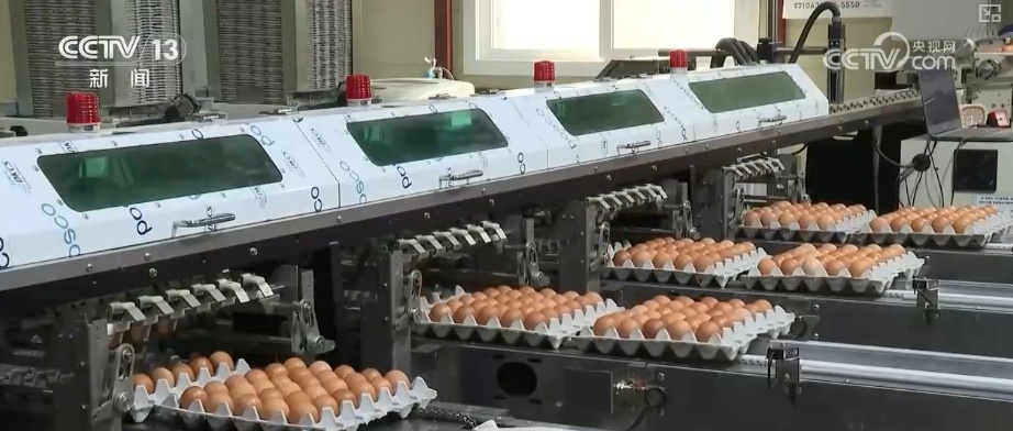 19.4亿亩、1.75亿吨、7358万吨……“数”说百姓吃得更好、更健康 19.4亿亩、1.75亿吨、7358万吨……“数”说百姓吃得更好、更健康