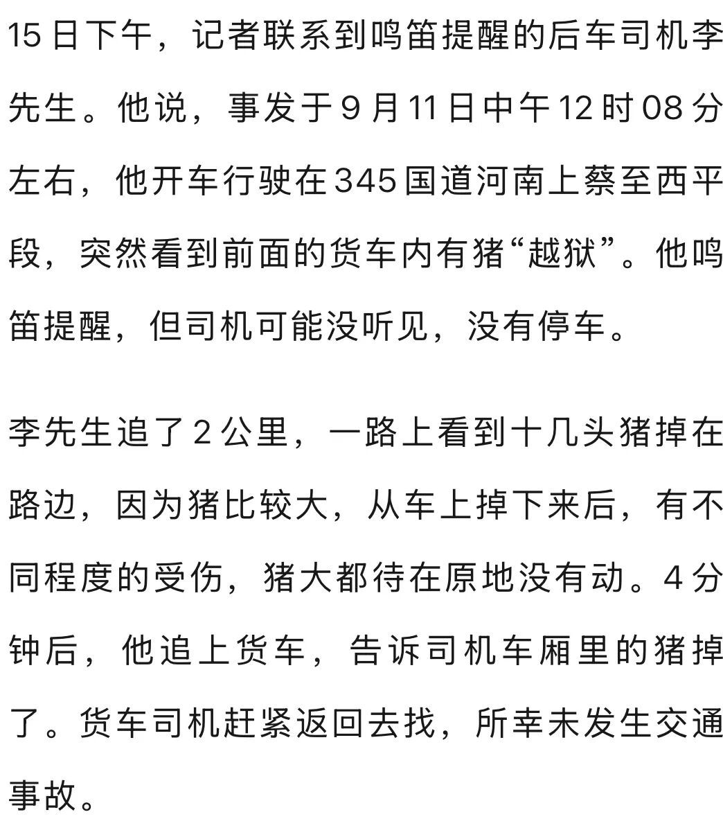 货车拉13头猪两公里路程有11头“越狱”，后车鸣笛狂追提醒，已找回10头