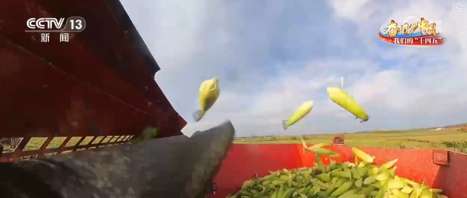 丰收在望!“沃野粮仓”科技“唱主角” 知天而作智慧农业跑出“加速度” 丰收在望!“沃野粮仓”科技“唱主角” 知天而作智慧农业跑出“加速度”