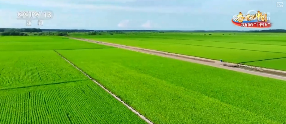 丰收在望!“沃野粮仓”科技“唱主角” 知天而作智慧农业跑出“加速度” 丰收在望!“沃野粮仓”科技“唱主角” 知天而作智慧农业跑出“加速度”
