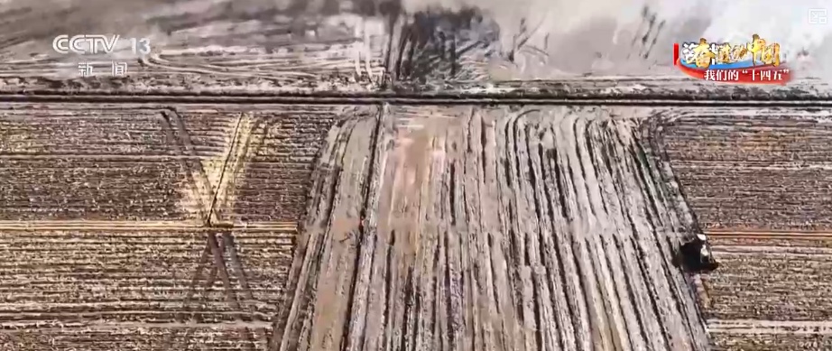 丰收在望!“沃野粮仓”科技“唱主角” 知天而作智慧农业跑出“加速度” 丰收在望!“沃野粮仓”科技“唱主角” 知天而作智慧农业跑出“加速度”