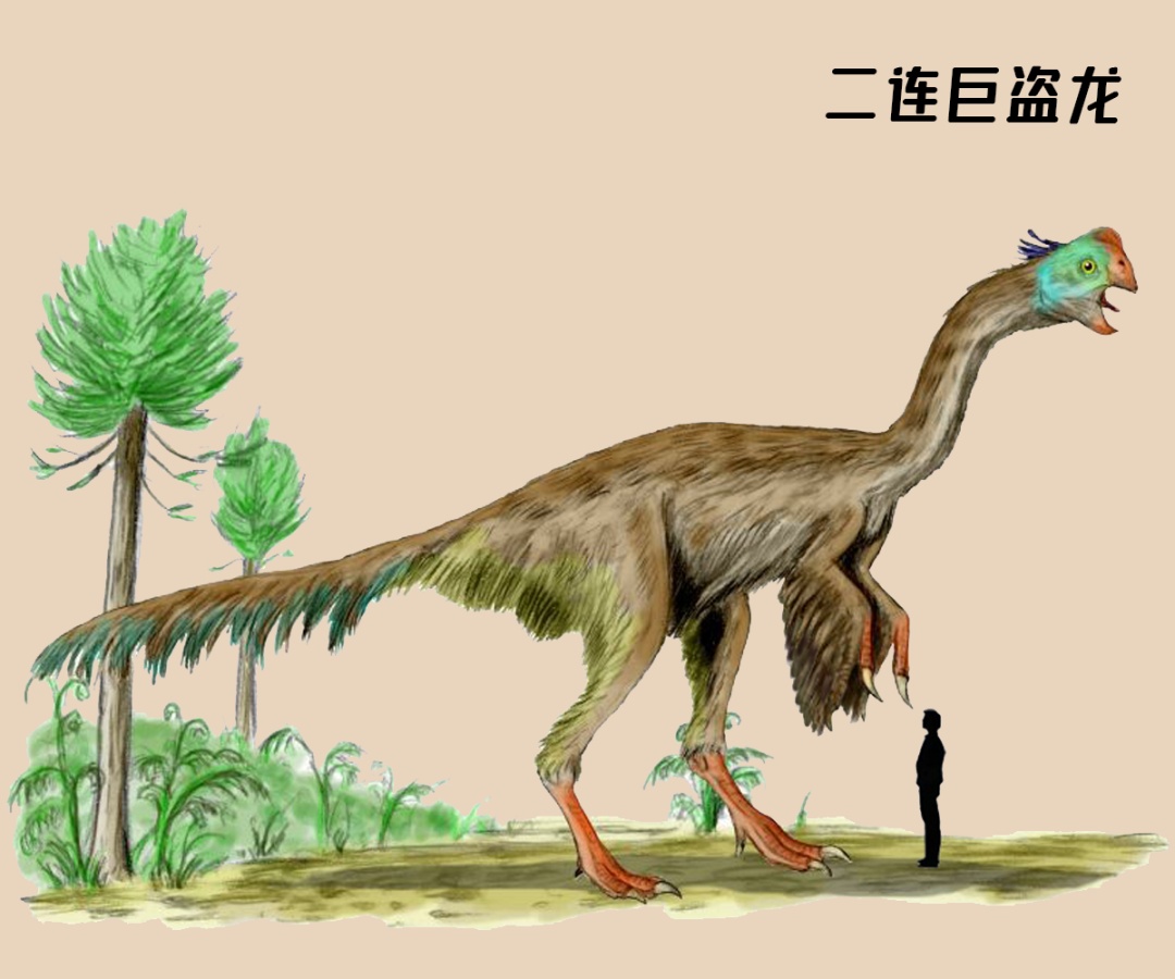 什么？恐龙并没有灭绝？！