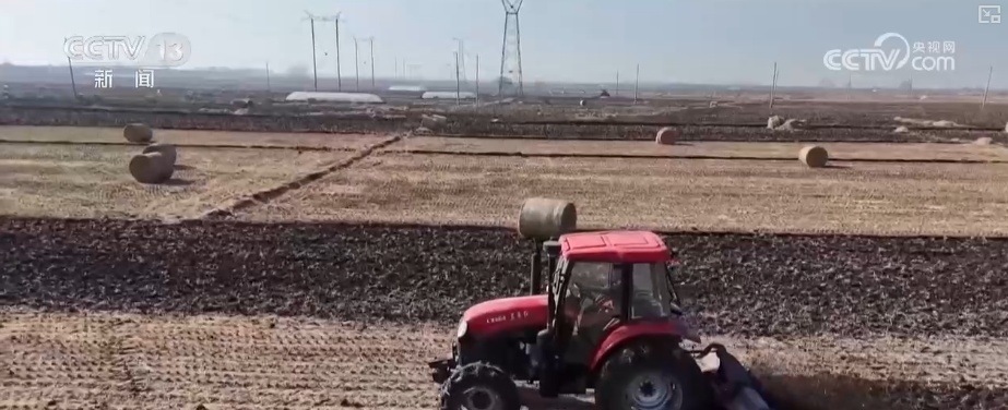 19.4亿亩、1.75亿吨、7358万吨……“数”说百姓吃得更好、更健康 19.4亿亩、1.75亿吨、7358万吨……“数”说百姓吃得更好、更健康