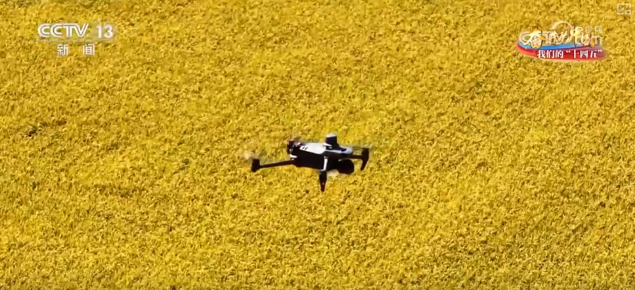 丰收在望!“沃野粮仓”科技“唱主角” 知天而作智慧农业跑出“加速度” 丰收在望!“沃野粮仓”科技“唱主角” 知天而作智慧农业跑出“加速度”