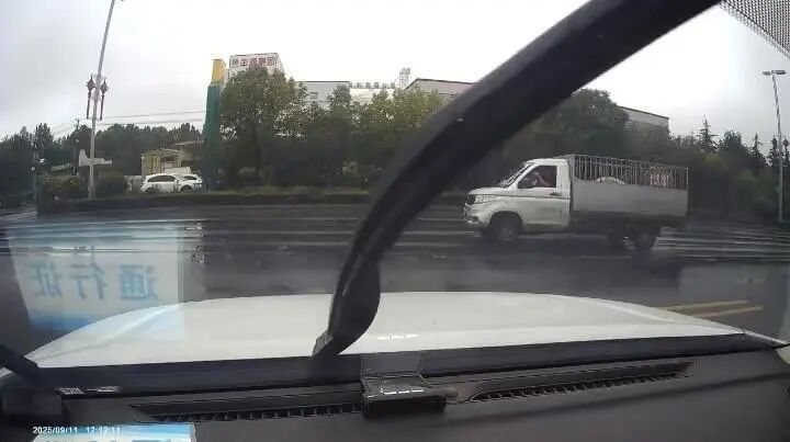 货车拉13头猪两公里路程有11头“越狱”，后车鸣笛狂追提醒，已找回10头