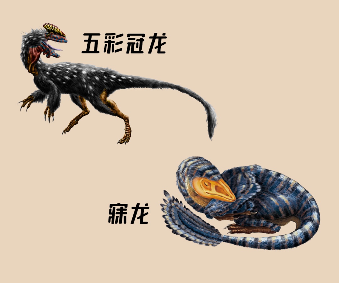什么？恐龙并没有灭绝？！