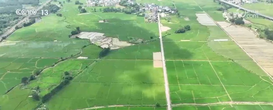 19.4亿亩、1.75亿吨、7358万吨……“数”说百姓吃得更好、更健康 19.4亿亩、1.75亿吨、7358万吨……“数”说百姓吃得更好、更健康