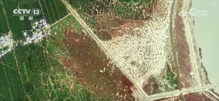 丰收在望!“沃野粮仓”科技“唱主角” 知天而作智慧农业跑出“加速度” 丰收在望!“沃野粮仓”科技“唱主角” 知天而作智慧农业跑出“加速度”