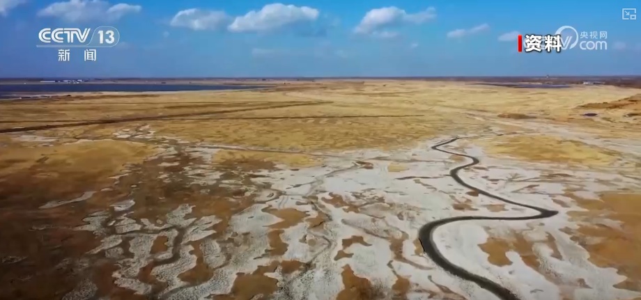 丰收在望!“沃野粮仓”科技“唱主角” 知天而作智慧农业跑出“加速度” 丰收在望!“沃野粮仓”科技“唱主角” 知天而作智慧农业跑出“加速度”