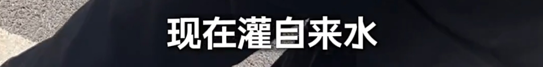 上海一知名景区门口有人卖“不明饮料”！已有多名游客上当，城管部门已介入