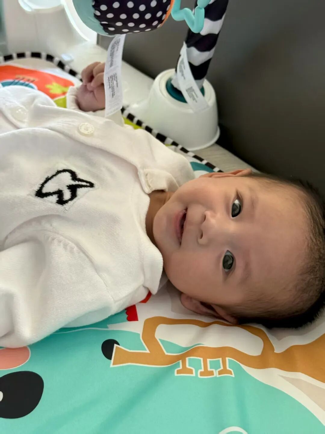 爱笑的“喜乐”离世，他才出生237天...