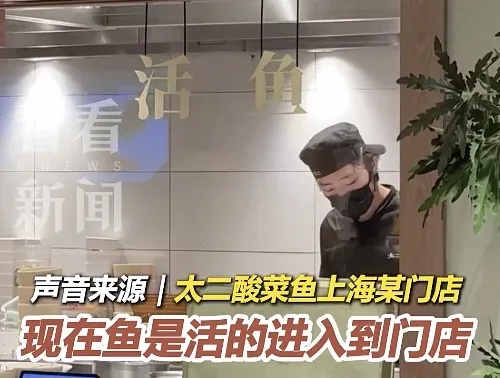 “7分钟上齐3道菜”，又有知名餐饮店陷预制菜风波！太二回应“门店活鱼现杀”争议