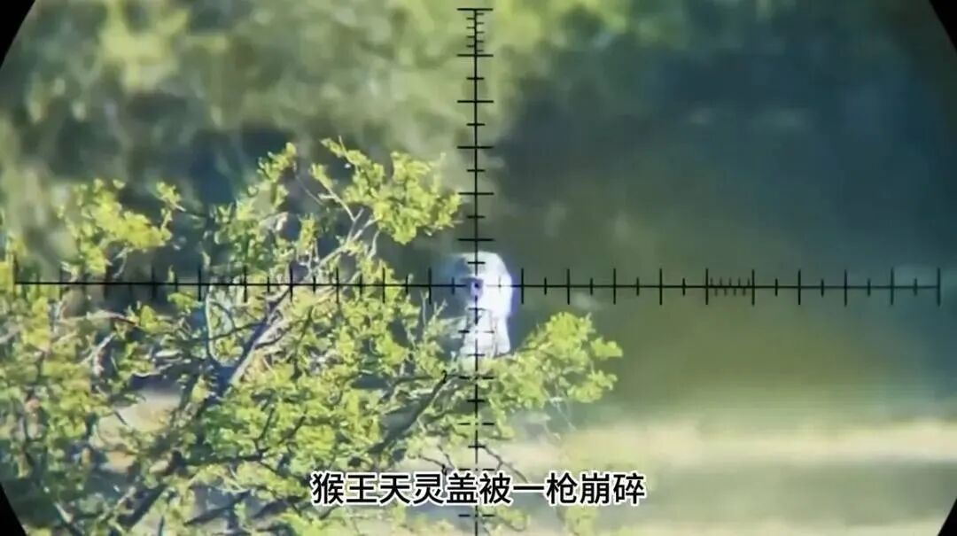 峨眉山人猴大战致游客坠崖？逐帧核实后，网警查处多名造谣者！