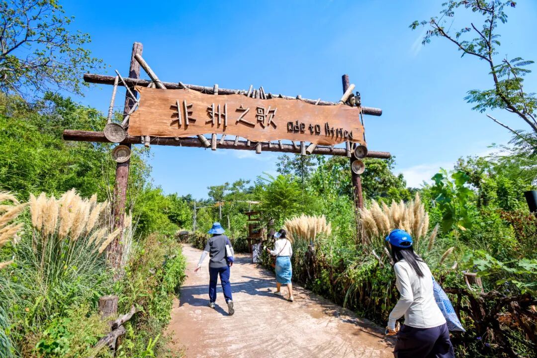 红山动物园南门新区，开放时间定了！