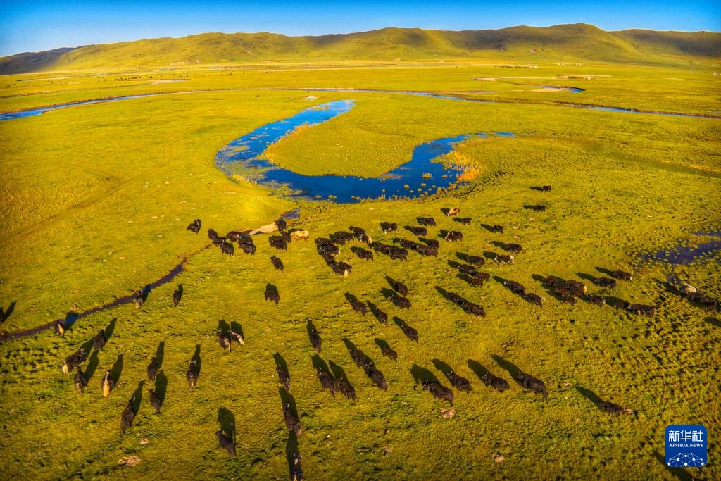 金秋风光美 金秋风光美