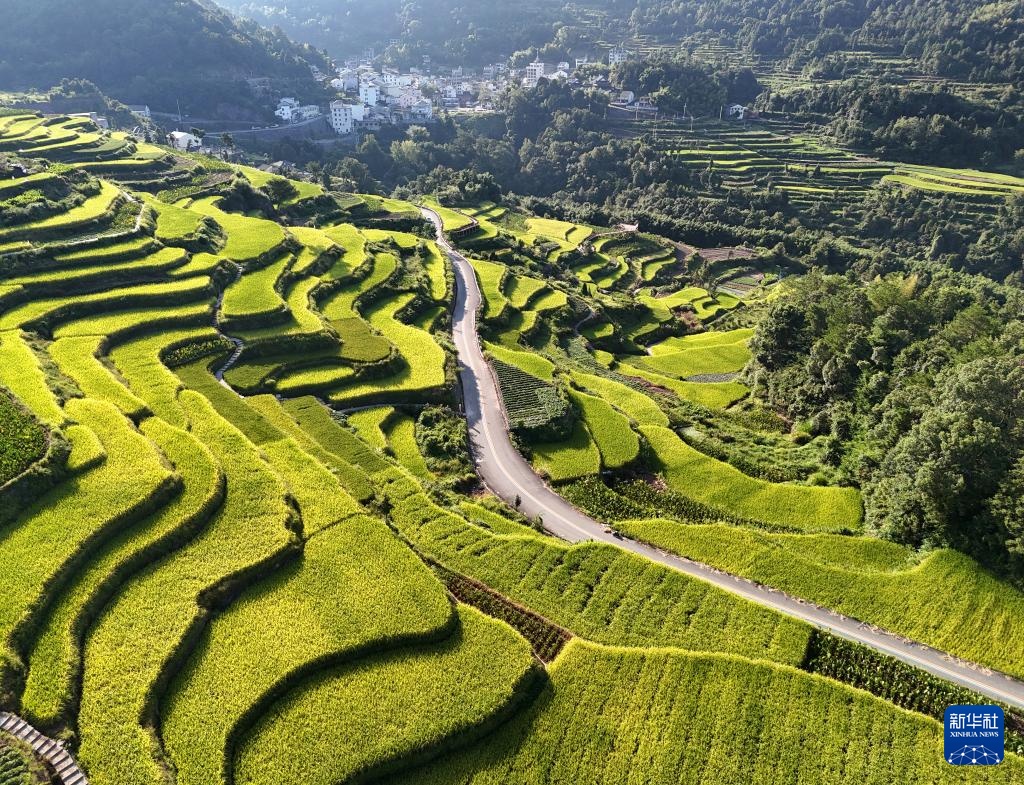 金秋风光美 金秋风光美