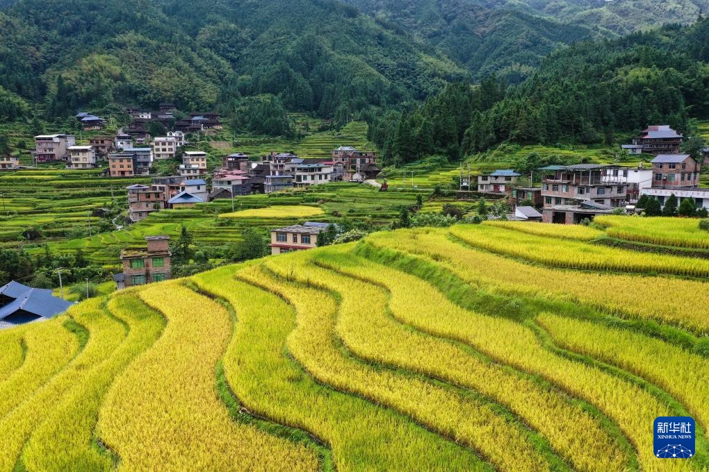 金秋风光美 金秋风光美