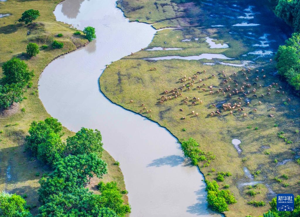 金秋风光美 金秋风光美