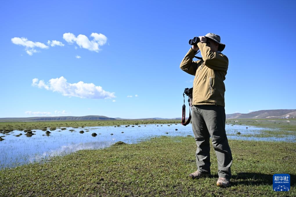 图片故事丨额尔古纳湿地的追鸟人 图片故事丨额尔古纳湿地的追鸟人