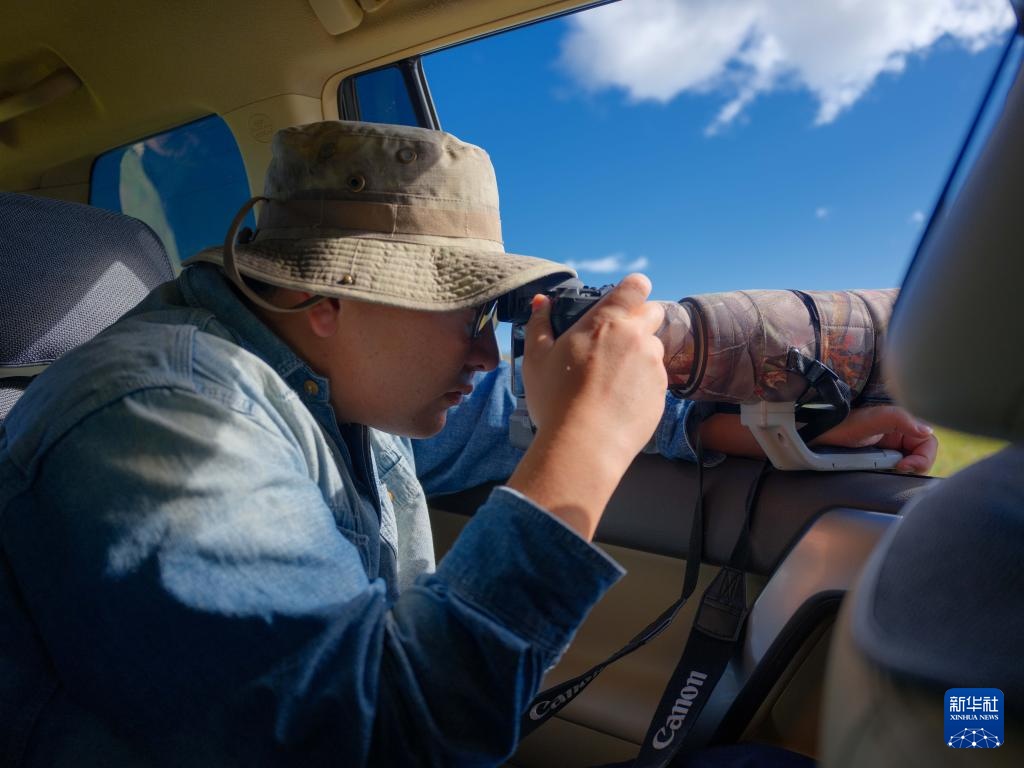 图片故事丨额尔古纳湿地的追鸟人 图片故事丨额尔古纳湿地的追鸟人