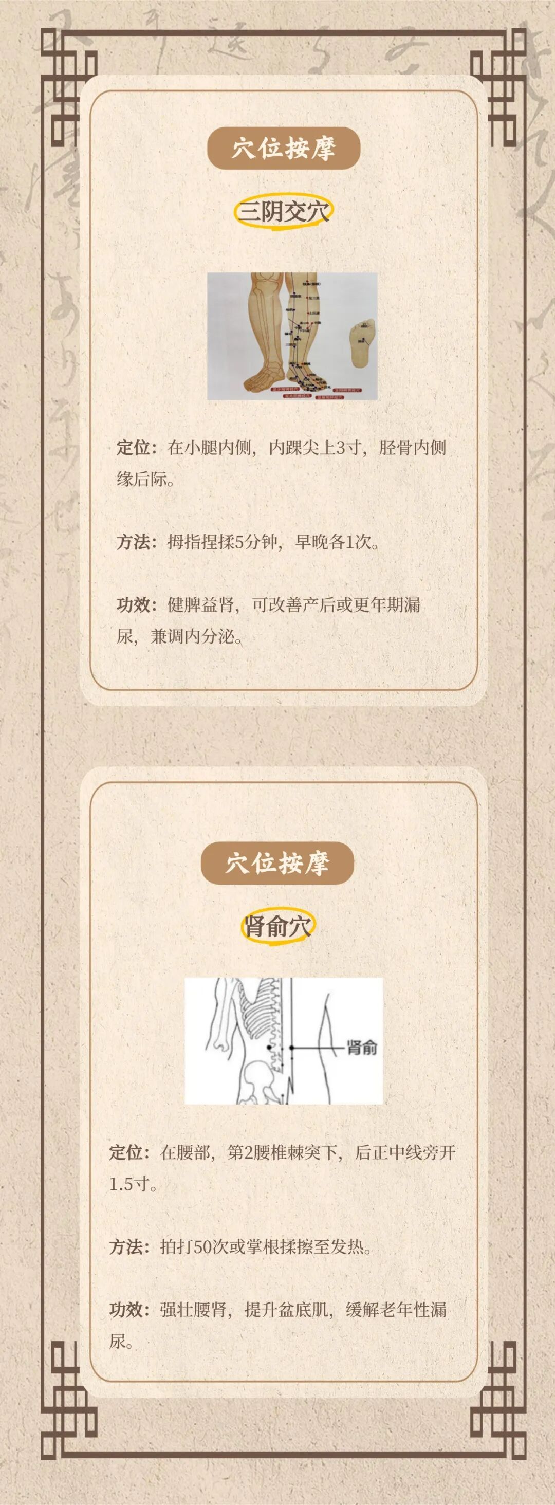 别让漏尿困住生活！中医有妙招，从辨证施治到日常养护，温和调理告别尴尬！