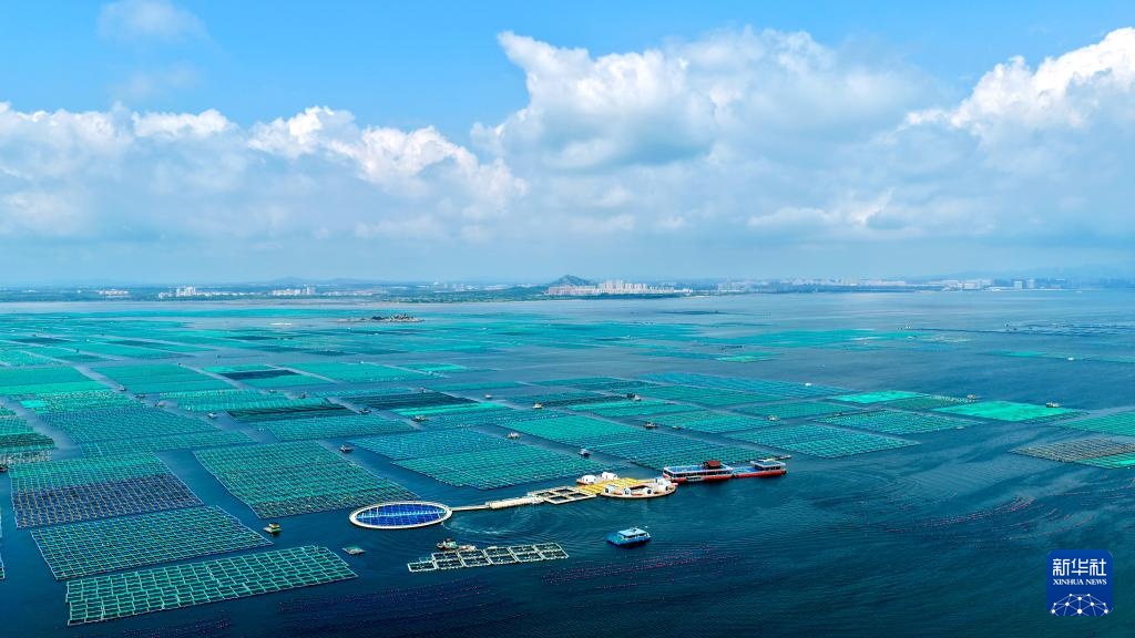 金秋风光美 金秋风光美