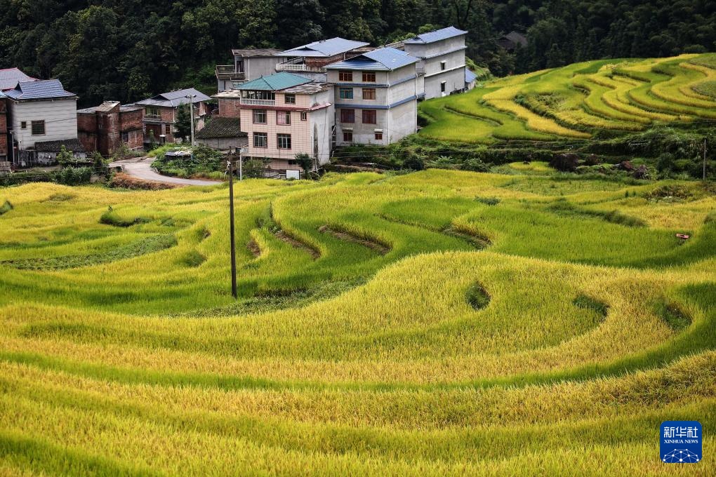 金秋风光美 金秋风光美