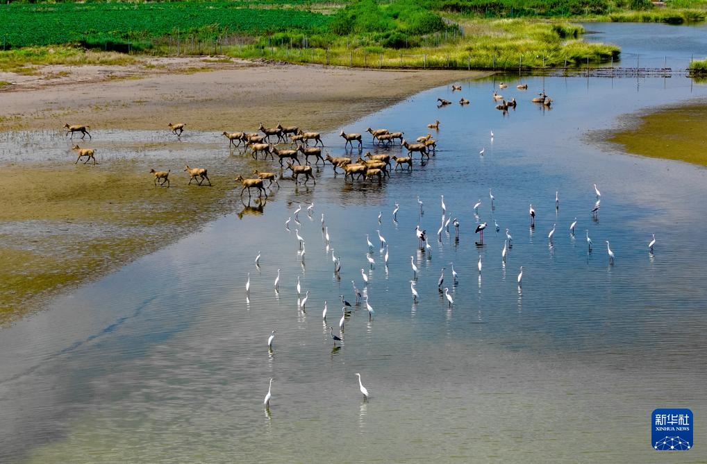 金秋风光美 金秋风光美