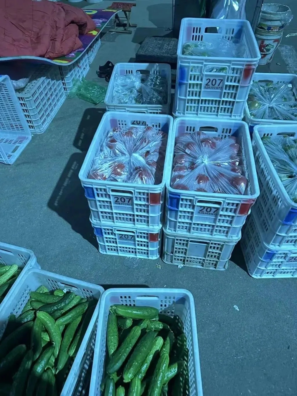 突然爆火！有人靠它在山东月入6万，旺季一天能卖500份
