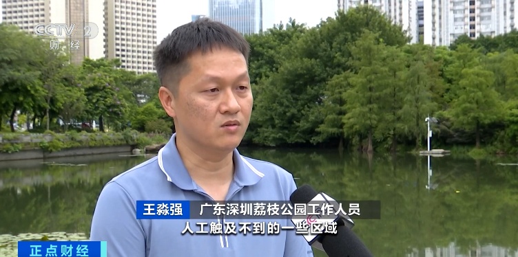 又一产品在大湾区迎来爆发期，千亿级风口！