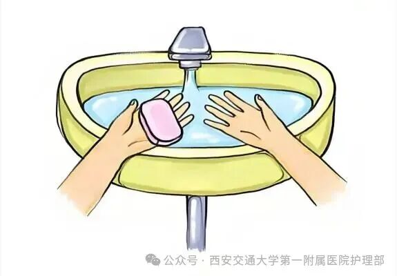 西安多区发现隐翅虫？千万别拍！毒液堪比硫酸