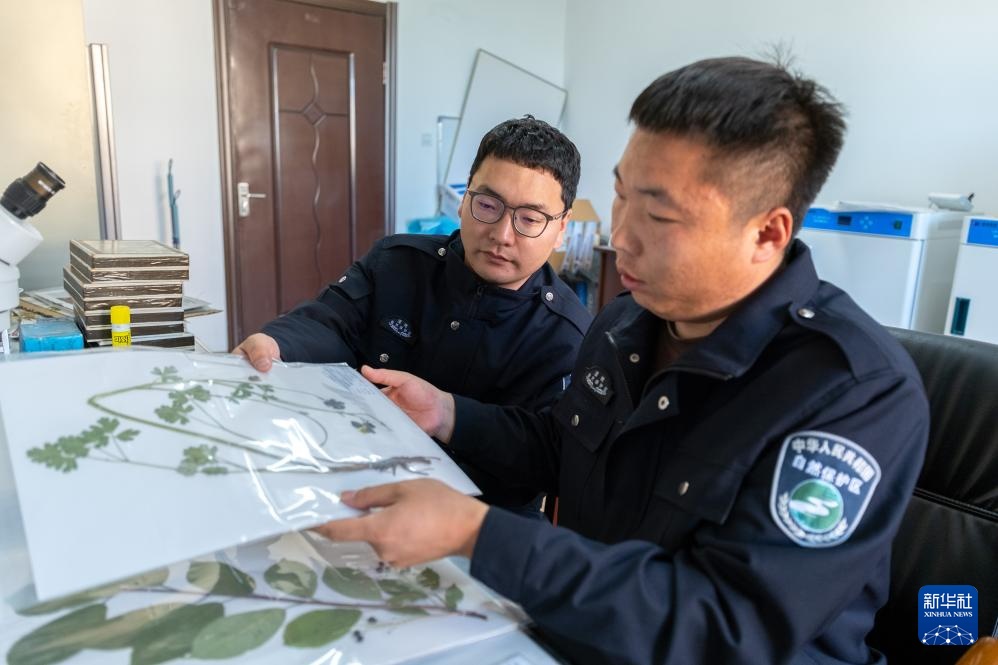 图片故事丨额尔古纳湿地的追鸟人 图片故事丨额尔古纳湿地的追鸟人