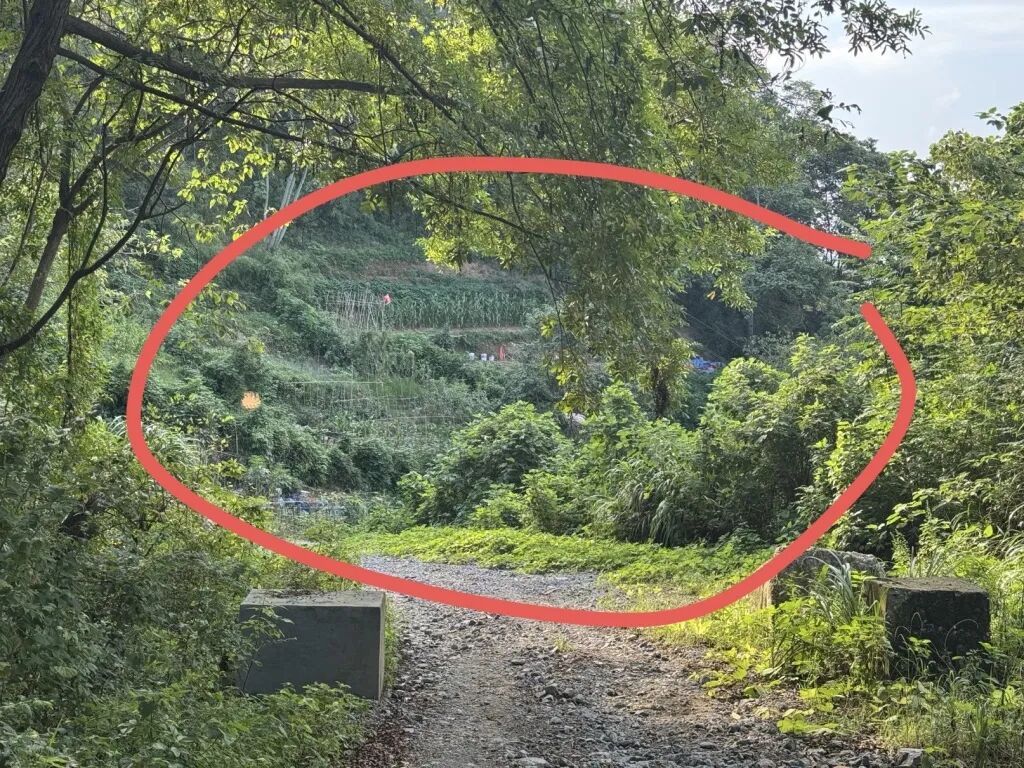 家属讲述过程！记者探访女子误触"化骨水"身亡现场，又有2瓶被发现！