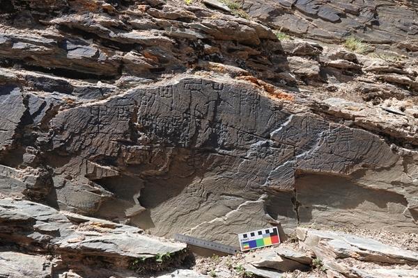 “昆仑”，找到了？