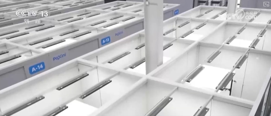 加速迭代，爆发！具身智能机器人产业从硬科技突破与场景化落地双向发力