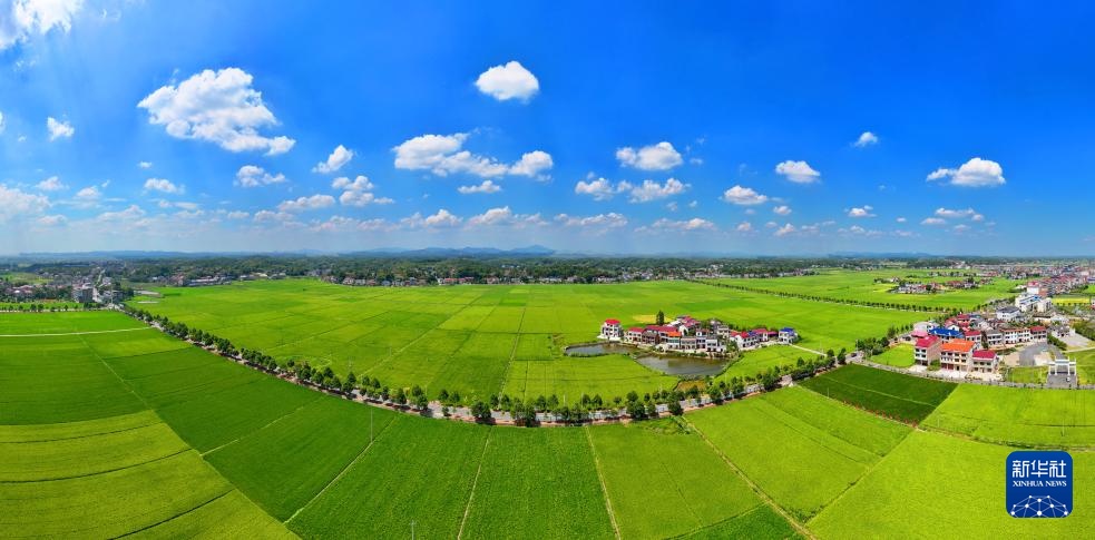 金秋风光美 金秋风光美