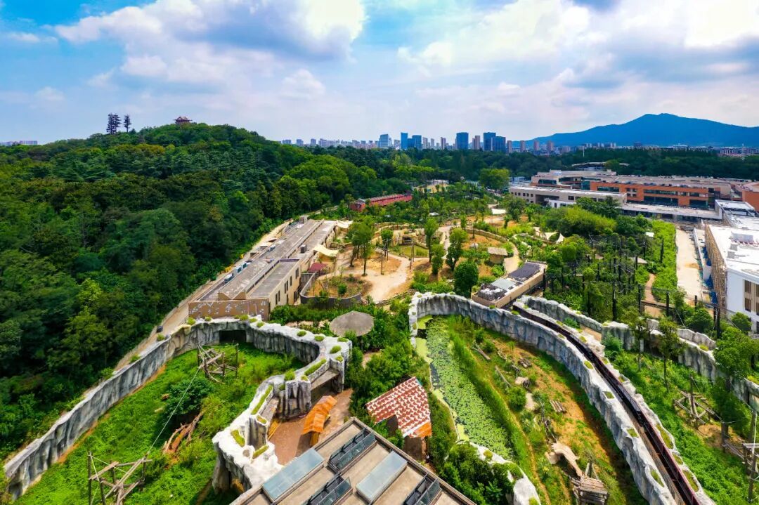 红山动物园南门新区，开放时间定了！