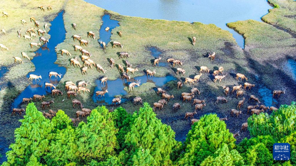 金秋风光美 金秋风光美