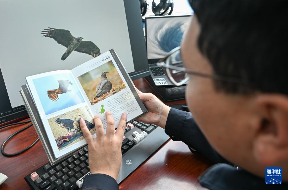 图片故事丨额尔古纳湿地的追鸟人 图片故事丨额尔古纳湿地的追鸟人