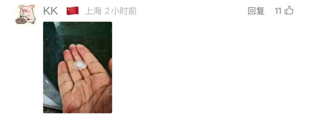 上海今天太魔幻！台风有消息了！有人被冰雹砸了脸？风雨中闪现帅气小哥