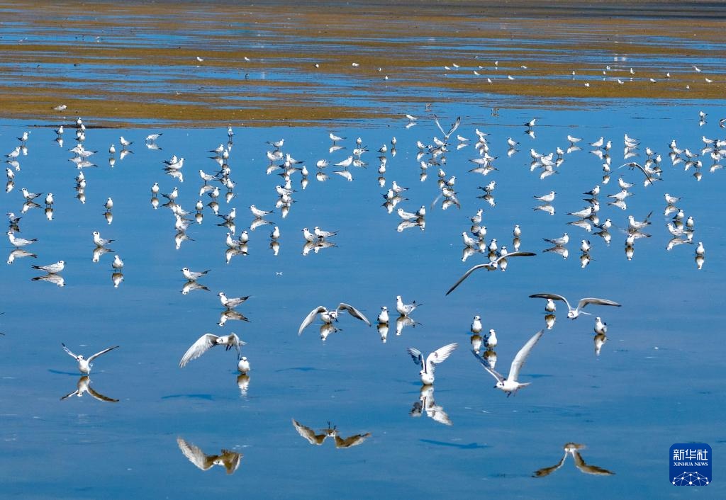 金秋风光美 金秋风光美