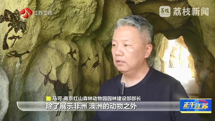 南京红山森林动物园南门新区10月18日开放
