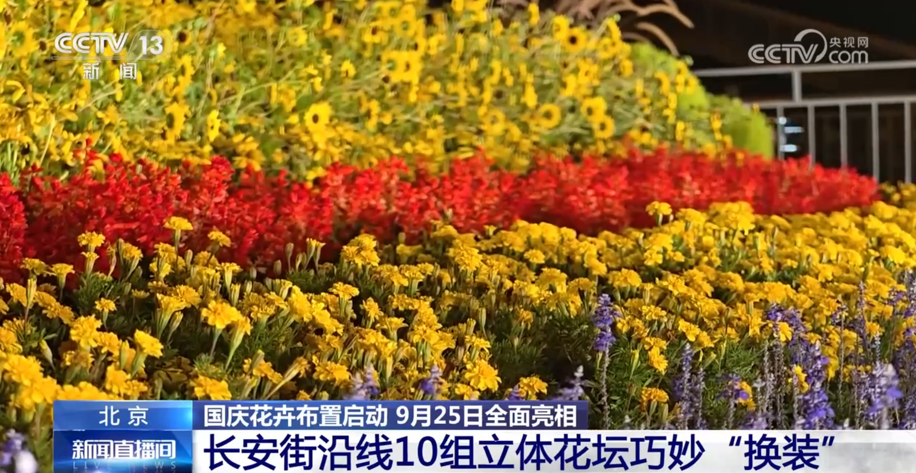 45万盆、超7000平方米 首都国庆花卉布置25日起全面亮相