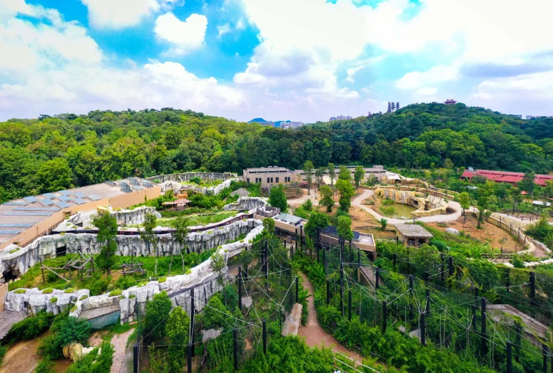 南京红山动物园将执行新票价