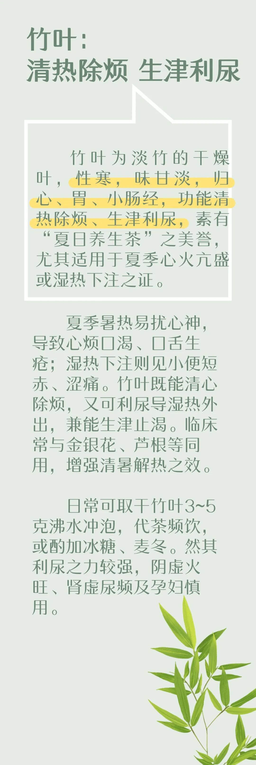 一身皆是宝,一根竹子多种养生妙用,清热润肺,养颜延年~ 一身皆是宝,一根竹子多种养生妙用,清热润肺,养颜延年~