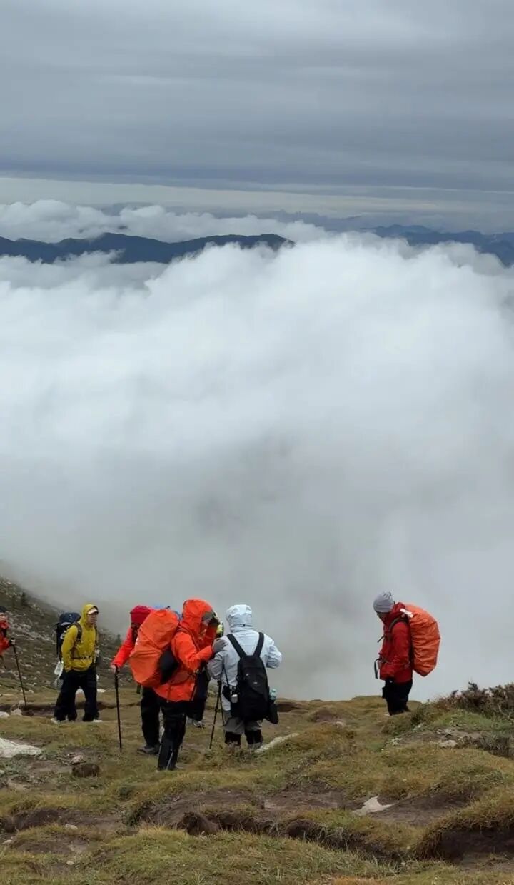 冷空气发飙！一地已经下雪，长沙最低气温降到......