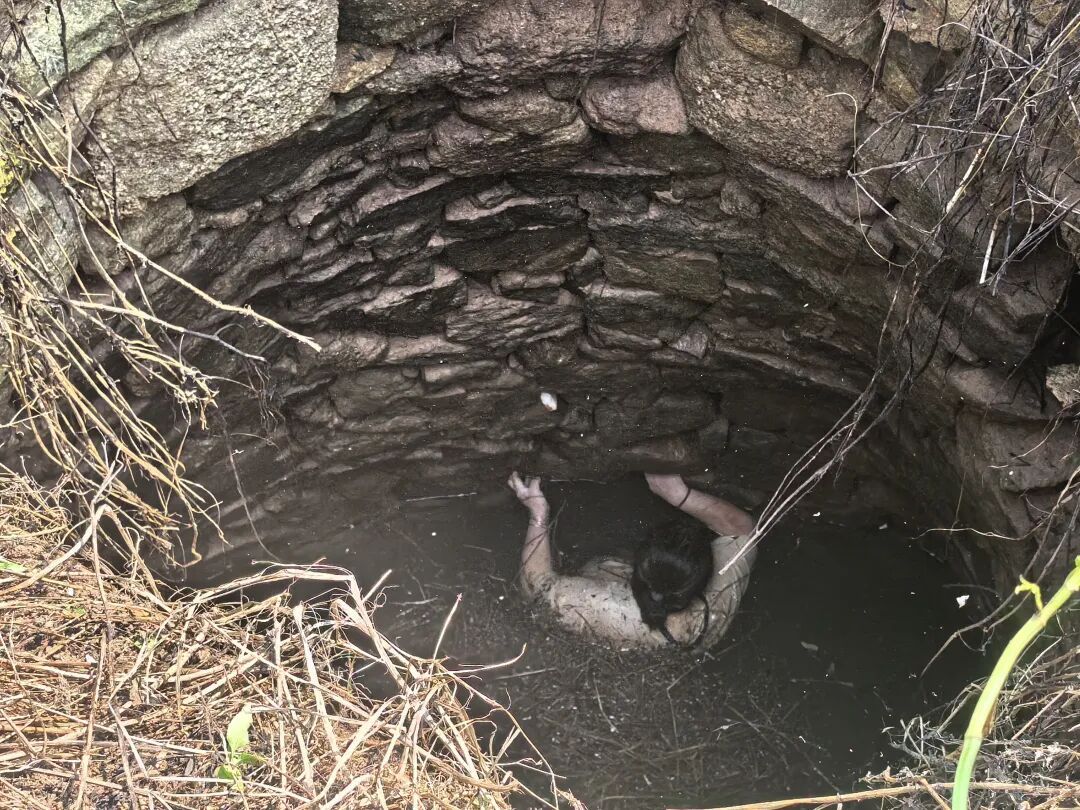 女子散步时意外坠井，身上爬满蛇！被咬也不敢动…整整54小时